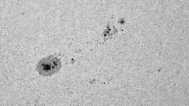 Sonnenfleckengruppe AR13335 am 19. Juni 2023 