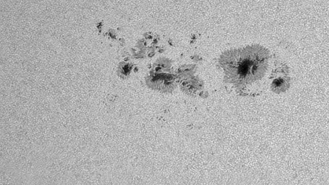 Sonnenfleckengruppe AR 13354 am 30. Juni 2023  