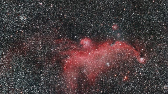 Möwennebel IC 2177 mit Messier 50