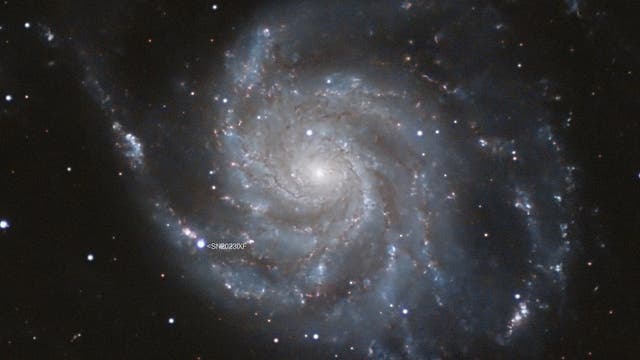 Messier 101 + Supernova