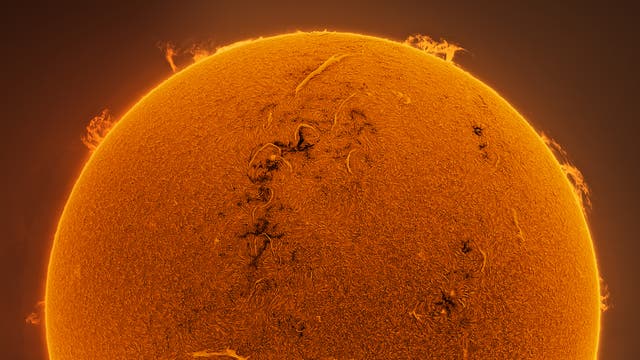 Sonne in H-Alpha am 18. August 2023 (Westseite)