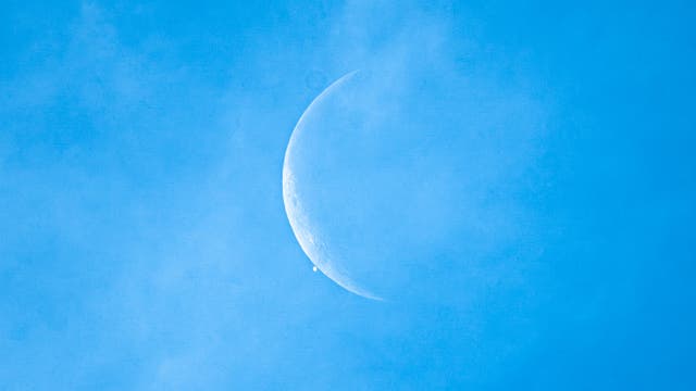 Venusbedeckung durch den Mond