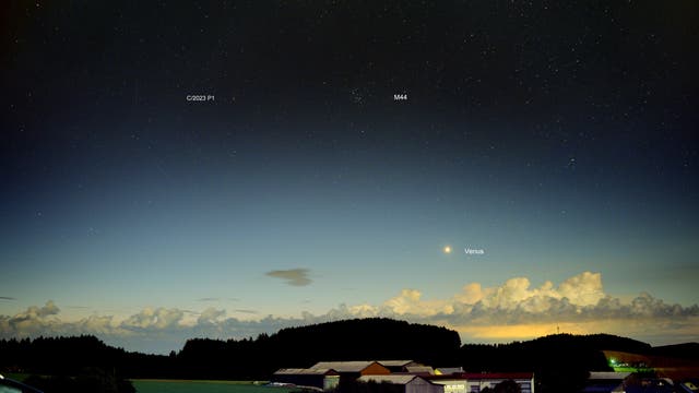 Komet C/2023 P1 Nishimura und Venus