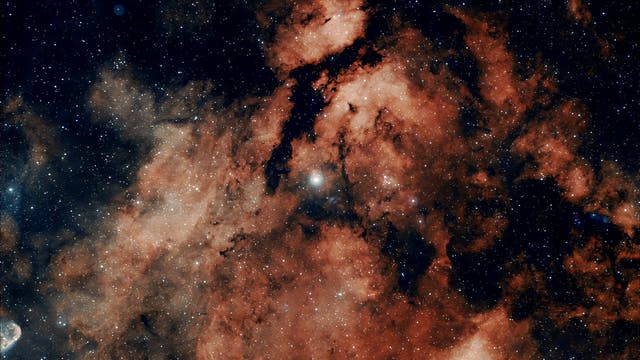 IC 1318