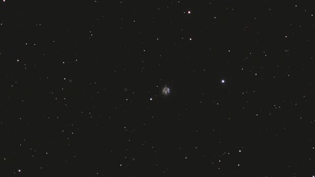Arp 6 - NGC 2537