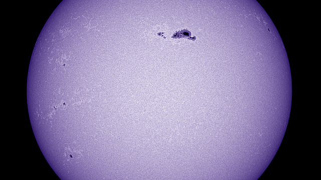 Sonnenfleck AR 3590 im Kalzium-Licht