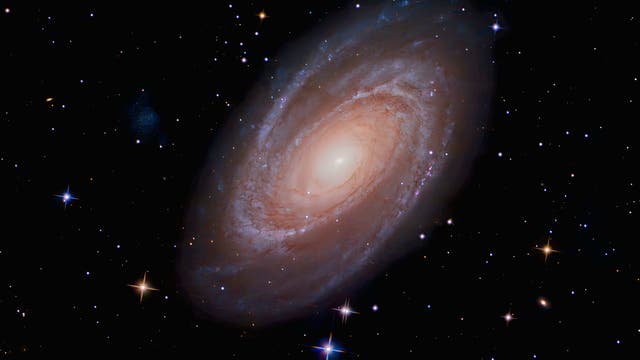 M 81