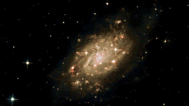 NGC 2403
