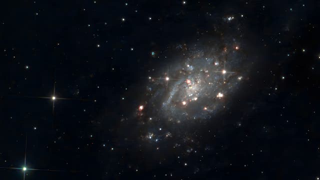 Die Galaxie NGC 2403