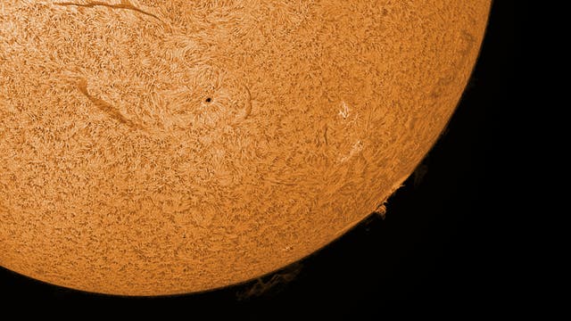 Große Protuberanzen auf der Sonnenscheibe