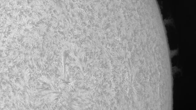 Aktive Westseite (Mosaik) der Sonne am 10. Juni
