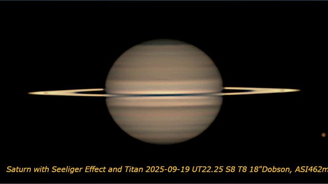 Saturn mit Titan und Seeliger-Effekt