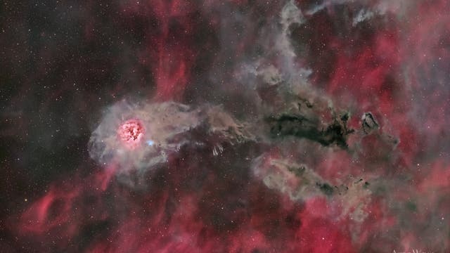 IC 5146 - Kokon-Nebel