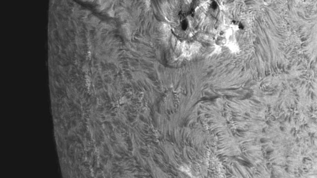 Neue Aktivität am Ostrand der Sonne