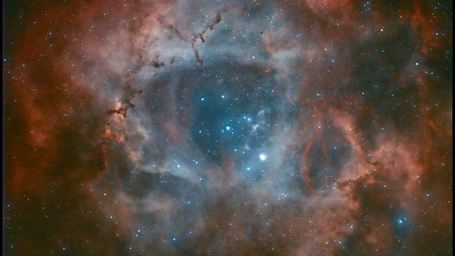 NGC 2244 (und Umgebung) - Ein Röslein im Sternbild Einhorn