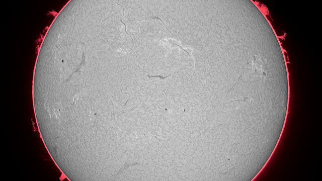 H-alpha-Sonne 26. April 2025 Übersicht 