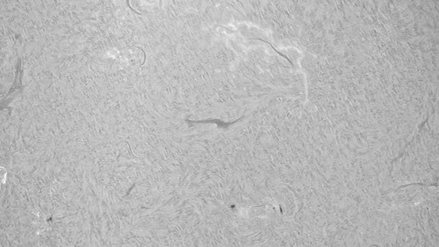 H-alpha-Sonne 26. April 2025 (Detail)
