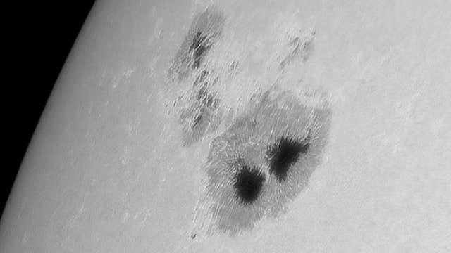 Sonne mit dem »Brummerfleck AR 4079 am 30. April 2025 (Übersicht)