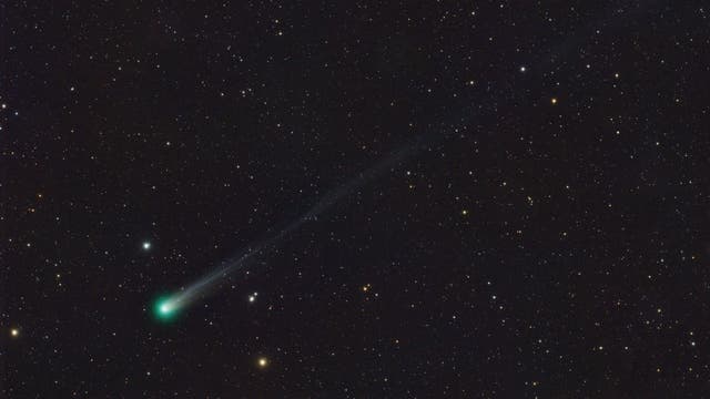 C/2025 A6 (Lemmon) mit 350 mm Brennweite