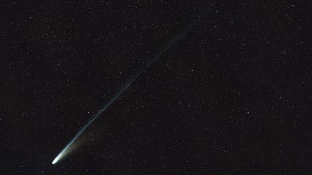 C/2025 A6 (Lemmon) bei 55% Mond