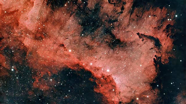 Südregion des Nordamerikanebels NGC 7000