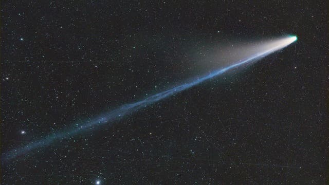 Komet C/2025 A6 Lemmon mit Teleobjektiv