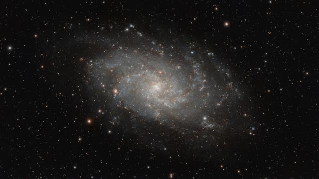 Die Triangulumgalaxie Messier 33