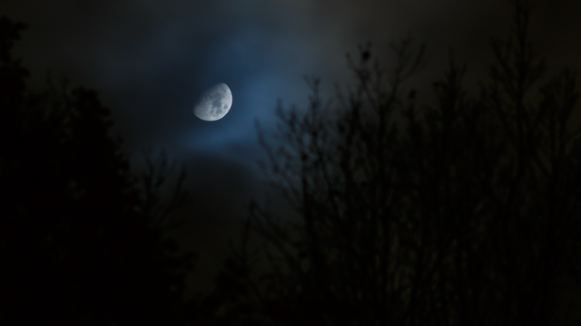 Mondscheinstimmung im Herbst