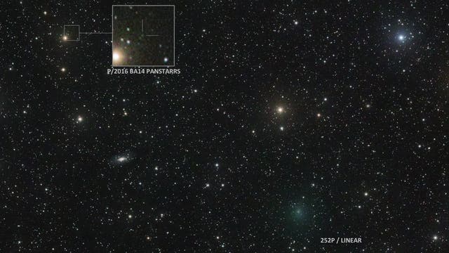 Two sibling comets approaching to Earth