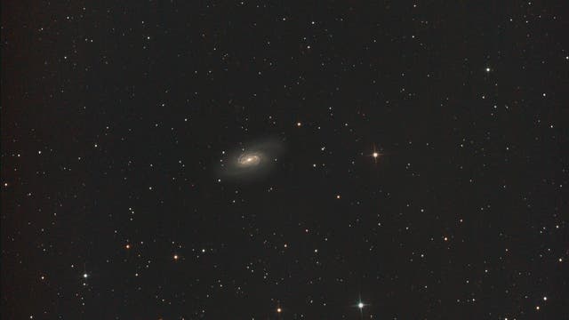 Galaxie NGC 2903 Im Sternbild Löwe (Leo)
