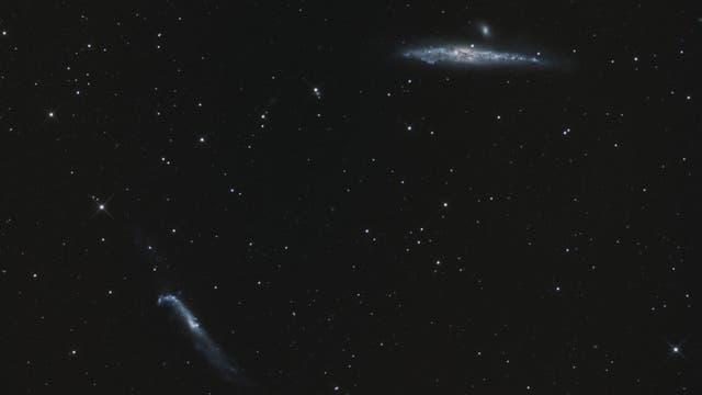 NGC 4631 und NGC 4656