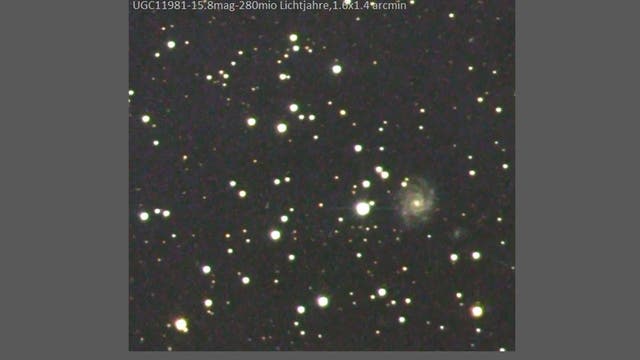 UGC  11981 - Face-on-Galaxie in Pegasus und etwas Philosophie