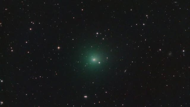 Comet 41P near Earth