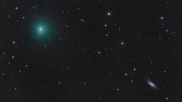 Komet 41P und NGC 3198