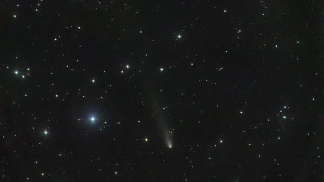 Comet 43P/Wolf-Harrington