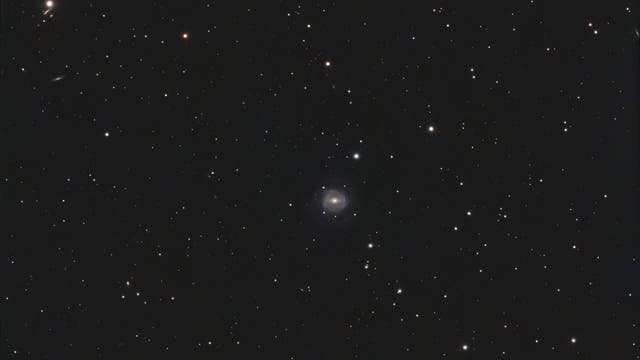 NGC 5957 mit SN 2025fvw