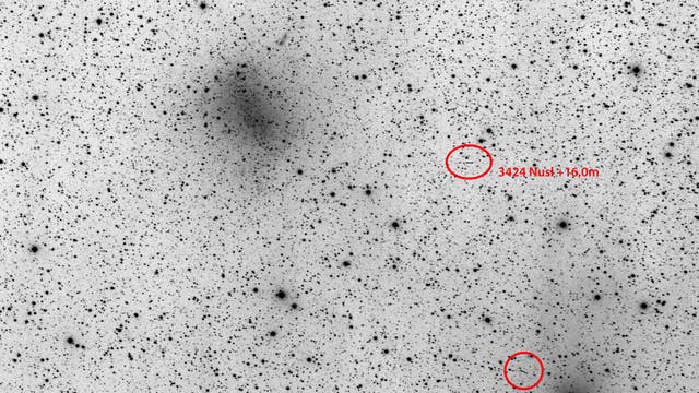Zwei Kleinplaneten bei NGC 6822 (negative Darstellung)