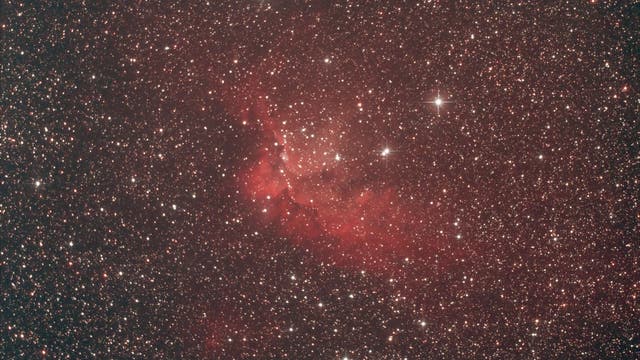 Wizardnebel NGC 7380 im Sternbild Kepheus