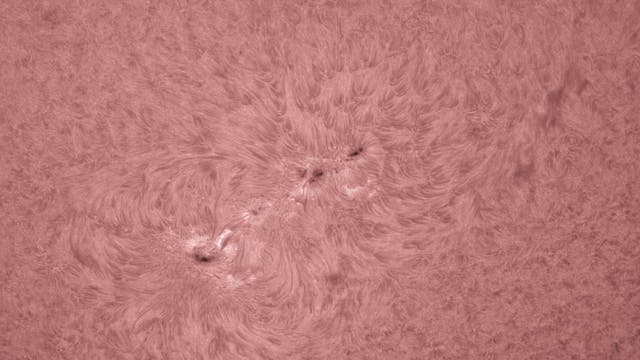 Großes H-Alpha-Aktivitätsgebiet auf der Sonne