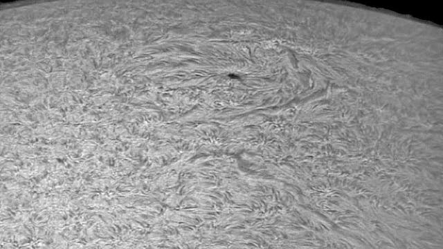 Sonnenfleck 2662 am 14. Juni 2017 in H-Alpha