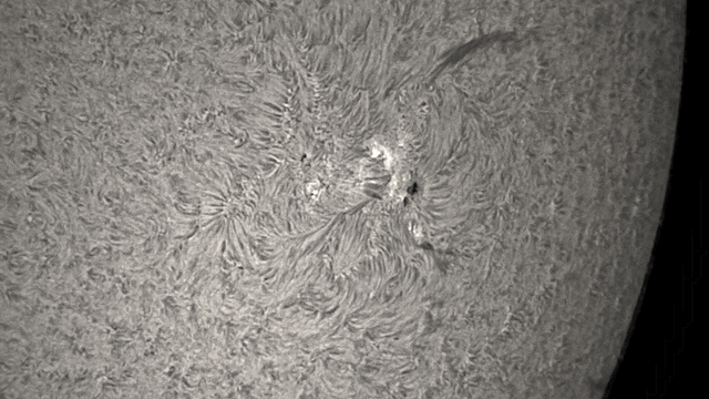 Sonnenfleck 2699 im H-Alpha-Licht am 14. Februar 2018