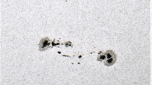 Sonnenfleck AR13319 am 31. Mai 2023