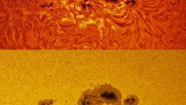Große Sonnenfleckengruppe in H-Alpha und im weißen Licht
