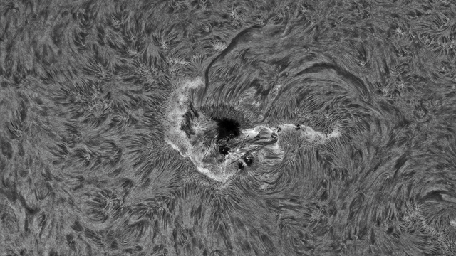 AR 13784 H-alpha