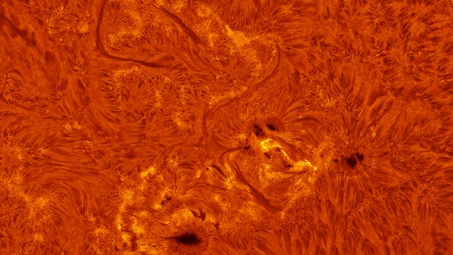 AR 14232-36 in H-alpha