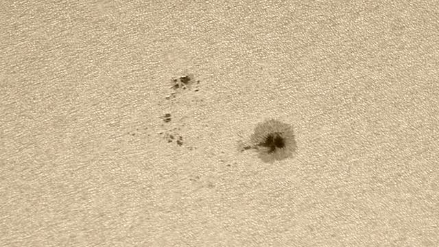 Sonnenfleck AR2082 in Weißlicht