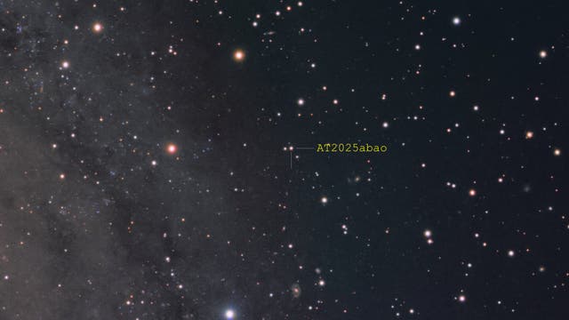AT2025abao - eine LRN in Messier 31