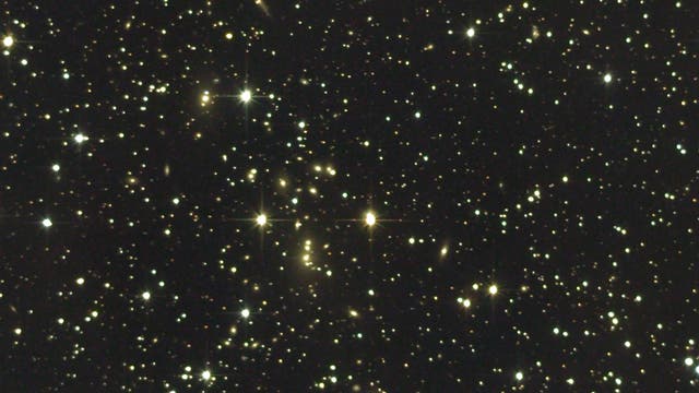 Abell 539 – ein reicher Galaxienhaufen im Orion