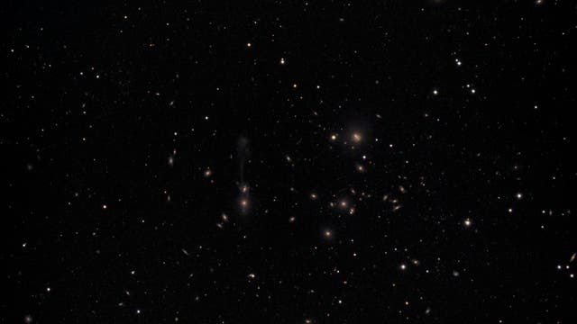 Abell 1185 um NGC 3561