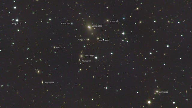 Abell 2199 - Galaxienhaufen im Sternbild Herkules